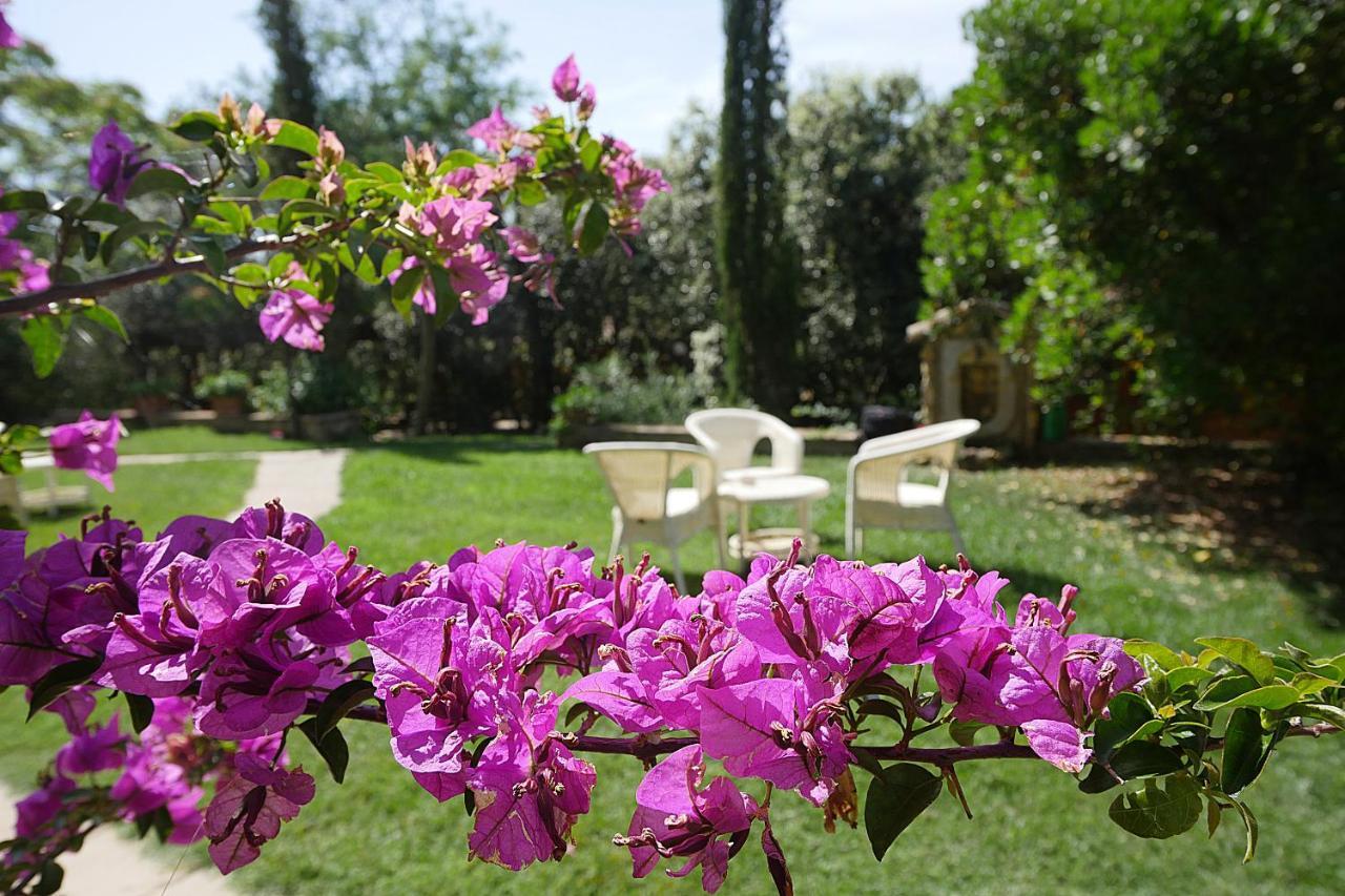 Agriturismo Le Vallette Bibbona Exterior foto