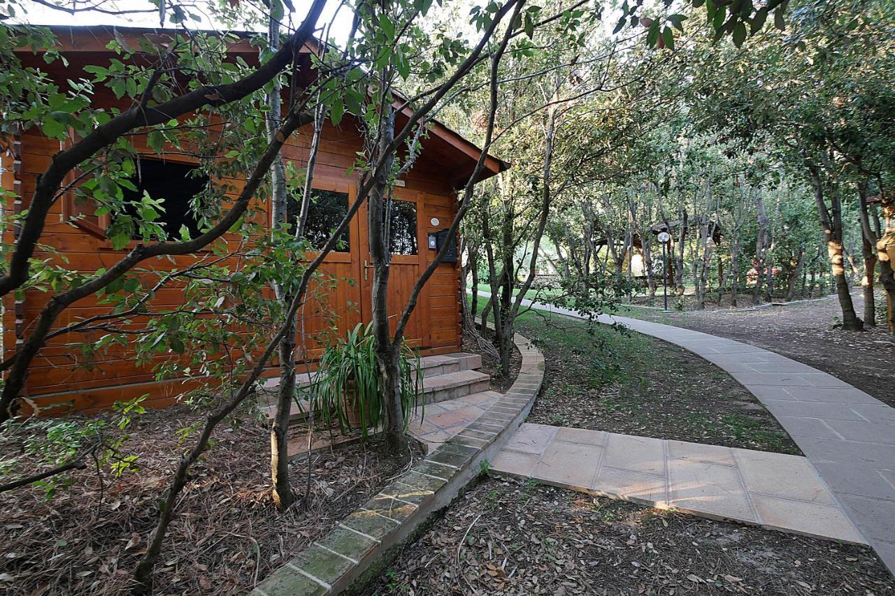 Agriturismo Le Vallette Bibbona Exterior foto